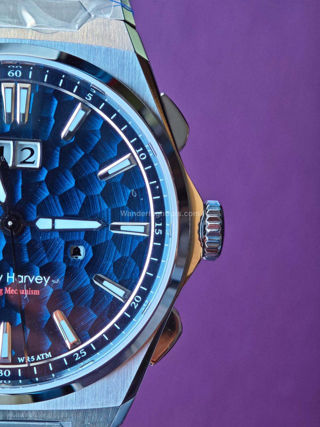 Lucky Harvey Sound Of Nature New Hammer Dial Chiming Watch Blue